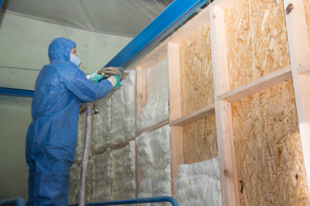 Best Insulation Removal  in Hoquiam, WA